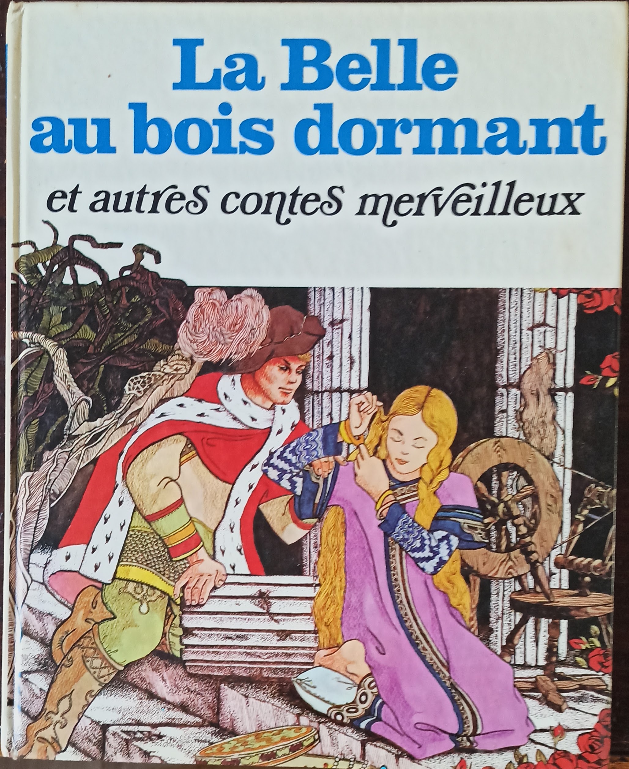 La belle au bois dormant et autres contes merveilleux (Branchu J./Maraja, Rizzato, Benvenuti…)
